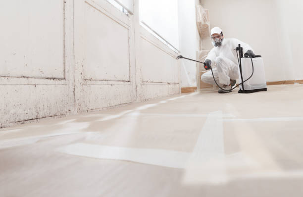 24/7 Emergency Black Mold Remediation experts in Exmore, VA