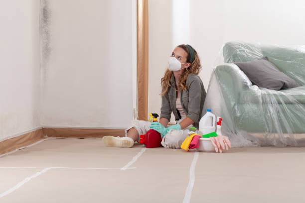 Reliable Black Mold Remediation contractor in Exmore, VA by Mold Remediation HQ